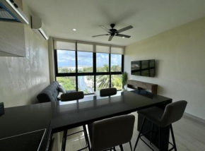 DelCarmenHouse